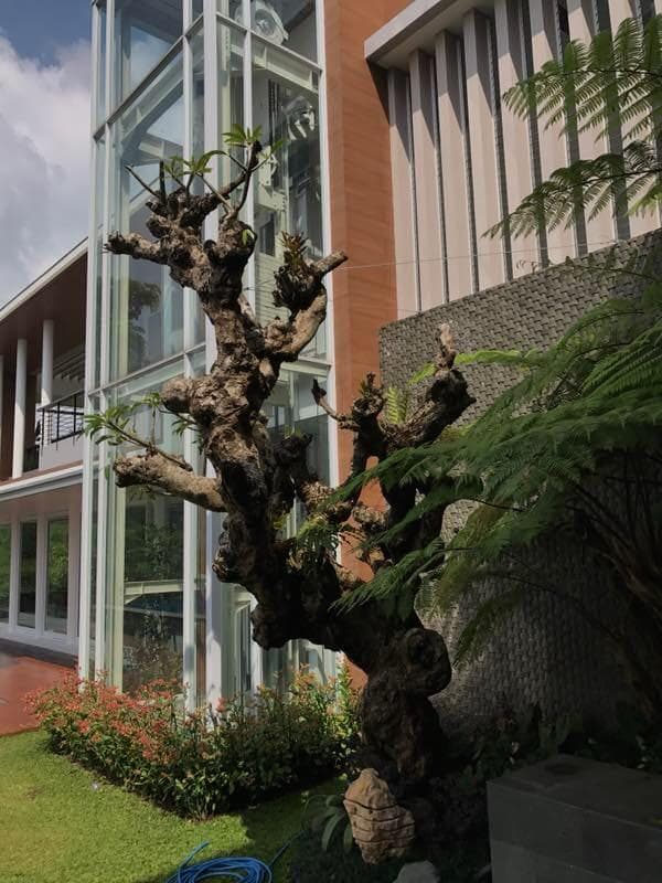 Mr. J Residence - Thumbnail 5